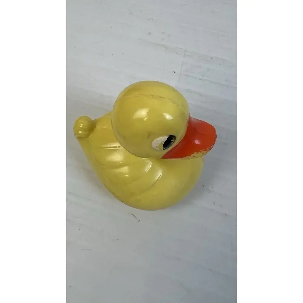 Vintage duck fish